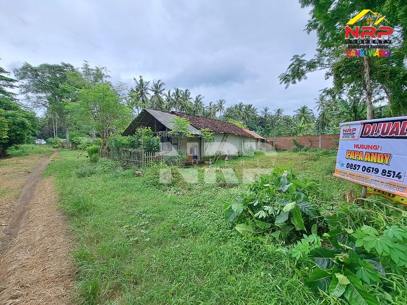 Dijual Tanah Kavling di kabupaten banyuwangi, Jawa Timur kedayunan kabat - 3
