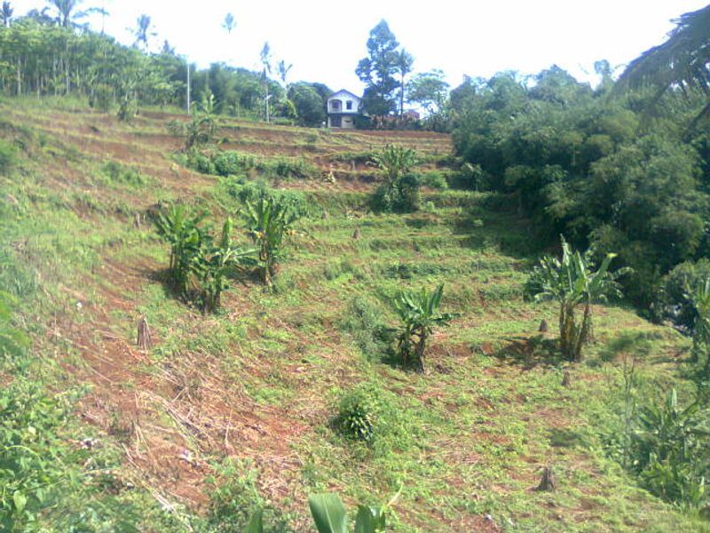 Tanah luas 19.975 m2 cocok untuk perkebunan,perikanan,perumahan,pabrik,investasi atau resort. - 3