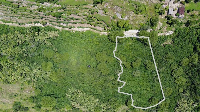 Investasi Tanah 5760m2 Batununggul Nusa Penida Klungkung View Laut - 3