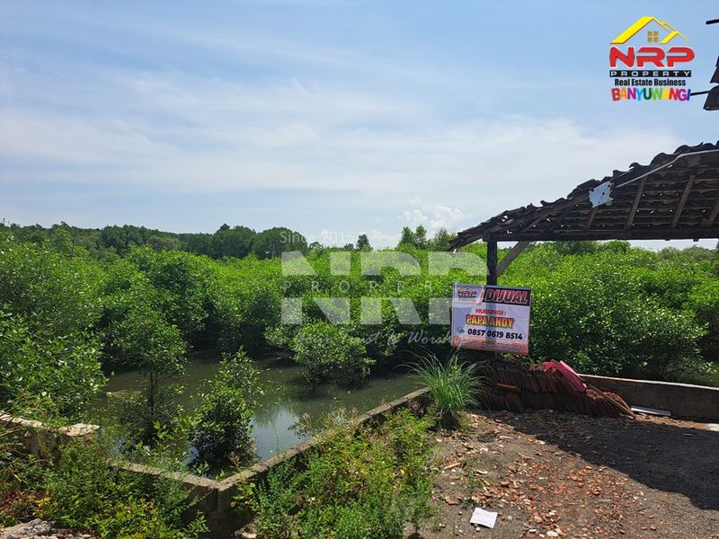 Dijual tambak  Murah di kabupaten banyuwangi, Jawa Timur - 2