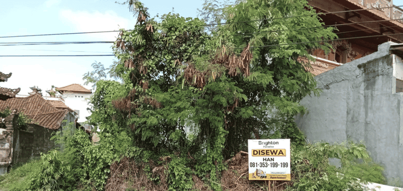 Tanah Disewa di Kediri, Kabupaten Tabanan — 1 KT, 1 KM