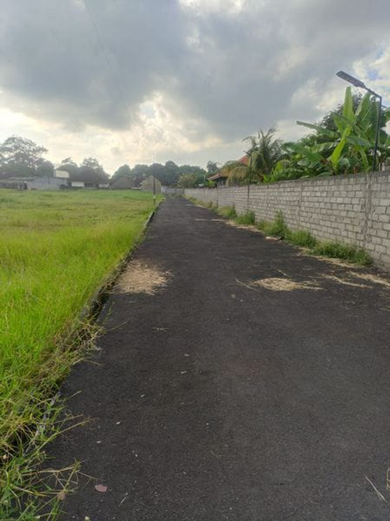 Jual Tanah Hadap Selatan 350m2 Pantai Kelating Tabanan - 3