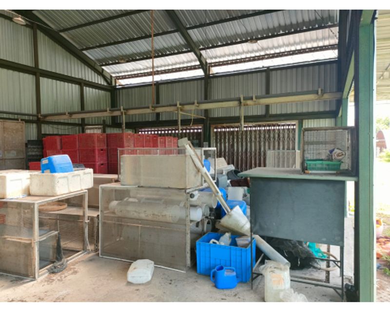 Bekas Pabrik dan Gudang Di Jual  - 3