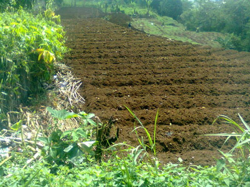 Tanah luas 19.975 m2 cocok untuk perkebunan,perikanan,perumahan,pabrik,investasi atau resort. - 4