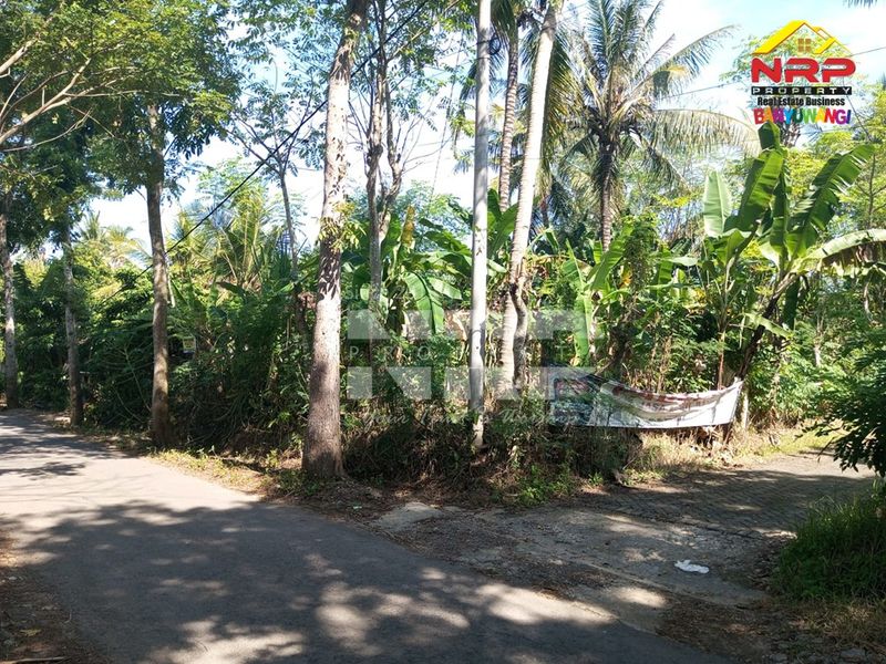  Dijual Tanah Murah di kabupaten banyuwangi, Jawa Timur - 4