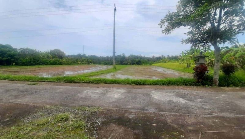 Investasi Tanah Lahan Pemukiman 1,06 Hektar View Sawah Gunung Dekat Tol Lingkar Soka Mengwi Selemadeg Tabanan - 2