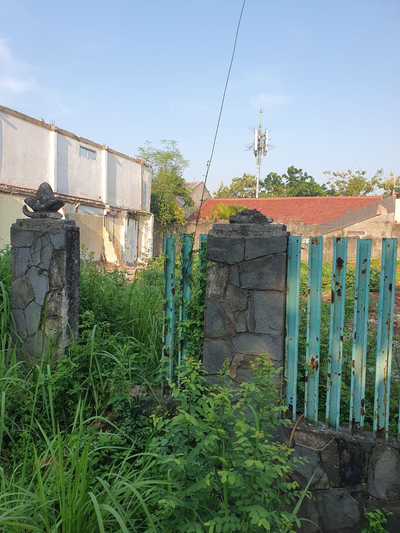 image-0