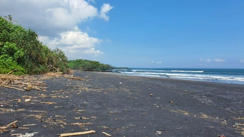 Jual Tanah 7850m2 Beachfront Kelating Tabanan - 2