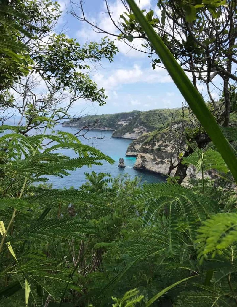 Investasi Tanah 250 Are Dekat Atuh Diamond Beach Nusa Penida Pejukutan Klungkung - 4