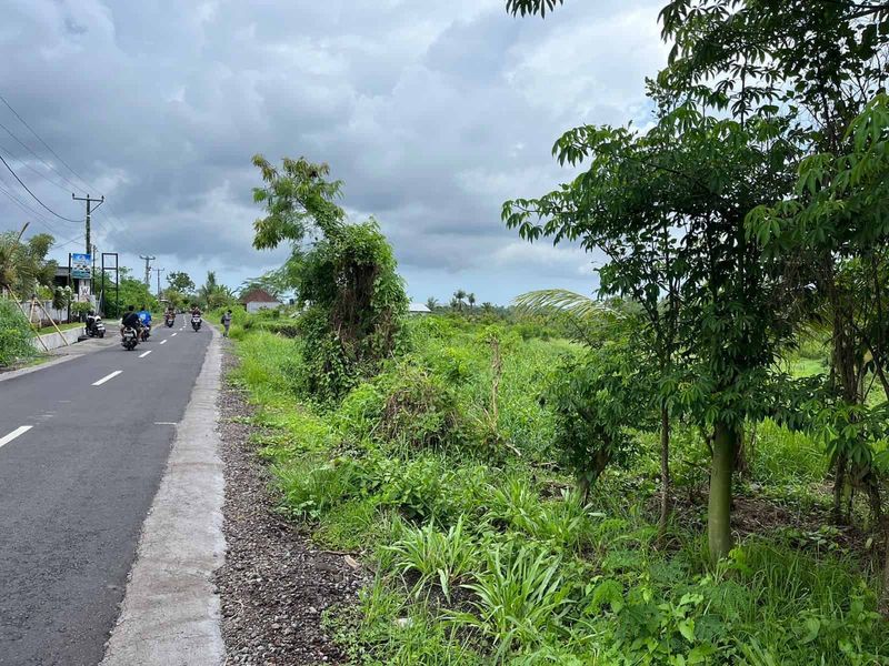 Investasi Tanah 1940m2 Lahan Kering Desa Batuaji Tabanan - 4