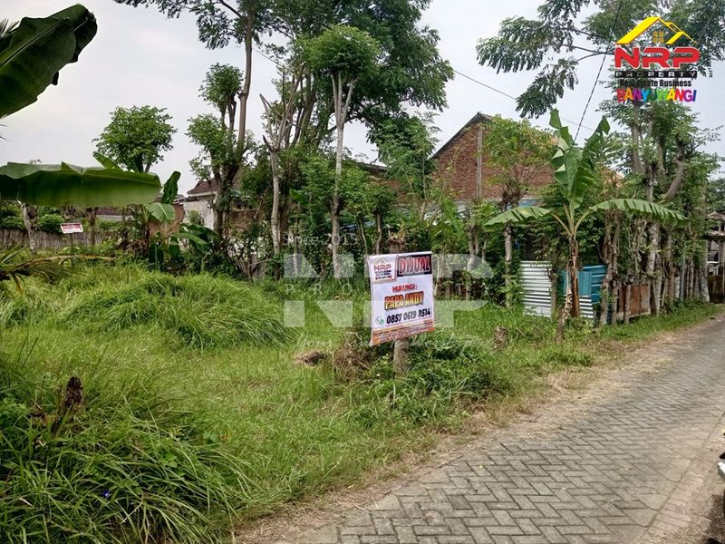Dijual Tanah Murah di kabupaten banyuwangi, Jawa Timur Bakungan - 2