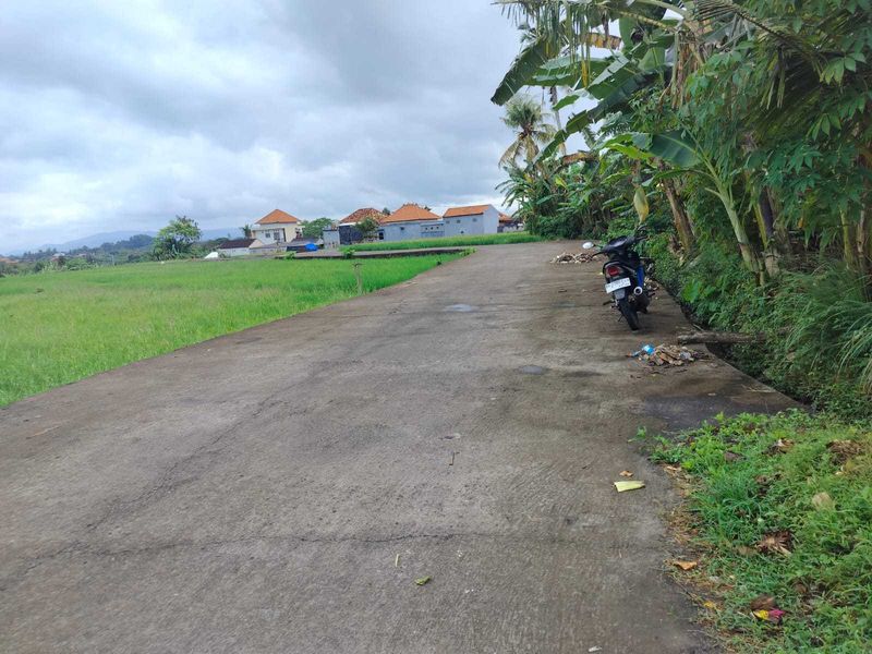 Jual Tanah 15 Are Kelating Tabanan - 2