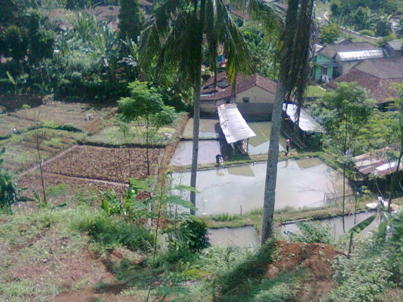 Tanah luas 19.975 m2 cocok untuk perkebunan,perikanan,perumahan,pabrik,investasi atau resort. - 2