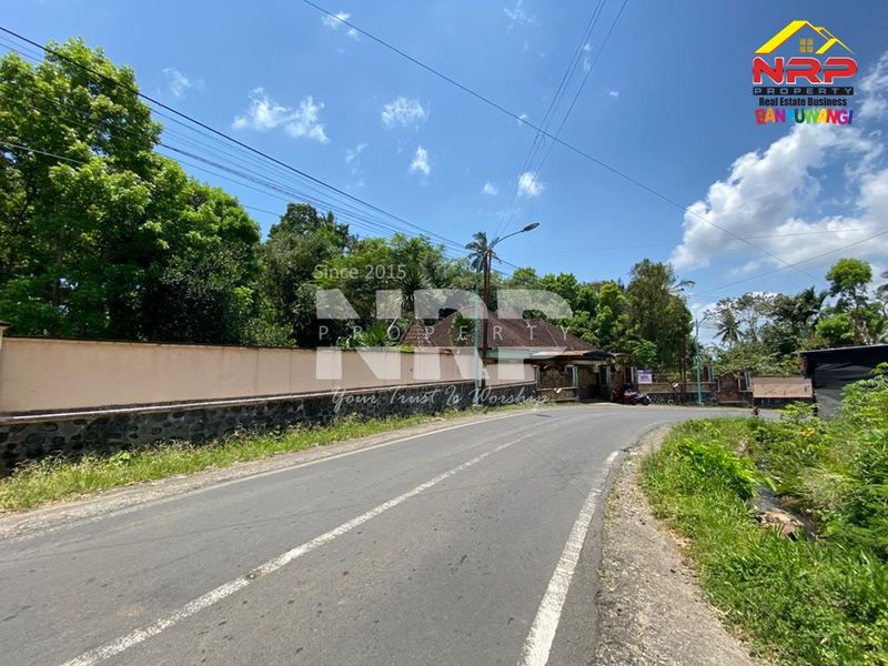 Dijual Rumah Luas View Sungai di Licin - Kawah Ijen Banyuwangi - 4