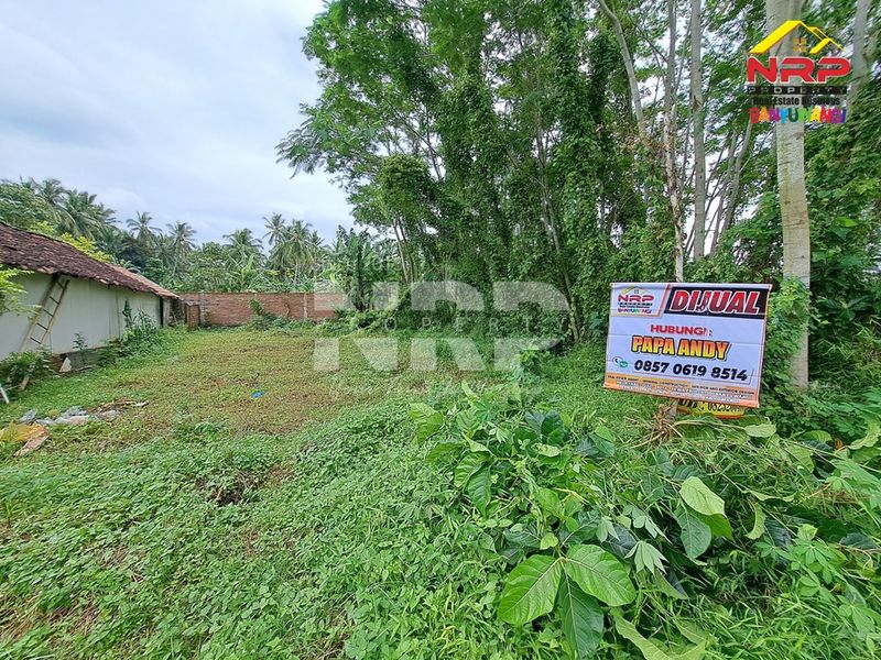 Dijual Tanah Kavling di kabupaten banyuwangi, Jawa Timur kedayunan kabat - 2