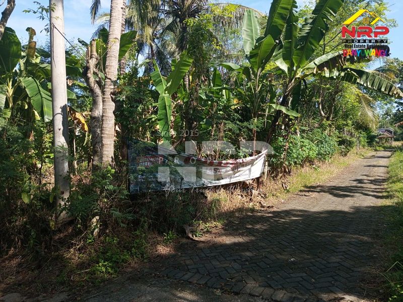  Dijual Tanah Murah di kabupaten banyuwangi, Jawa Timur - 2