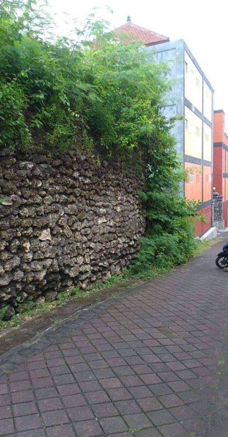 Investasi Tanah 1350m2 Siligita Benoa Kuta Selatan Badung - 3