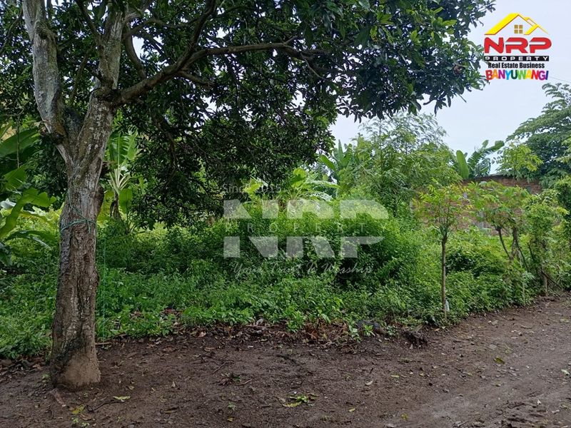 Dijual Tanah Murah di dalam perumahan  di kabupaten banyuwangi, Jawa Timur - 5