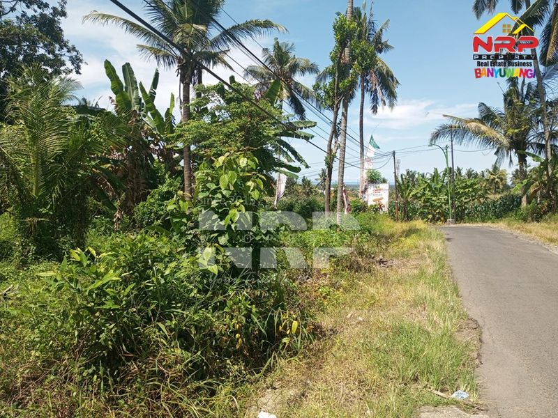Dijual Tanah Murah di Kebalenan banyuwangi, Jawa Timur - 3