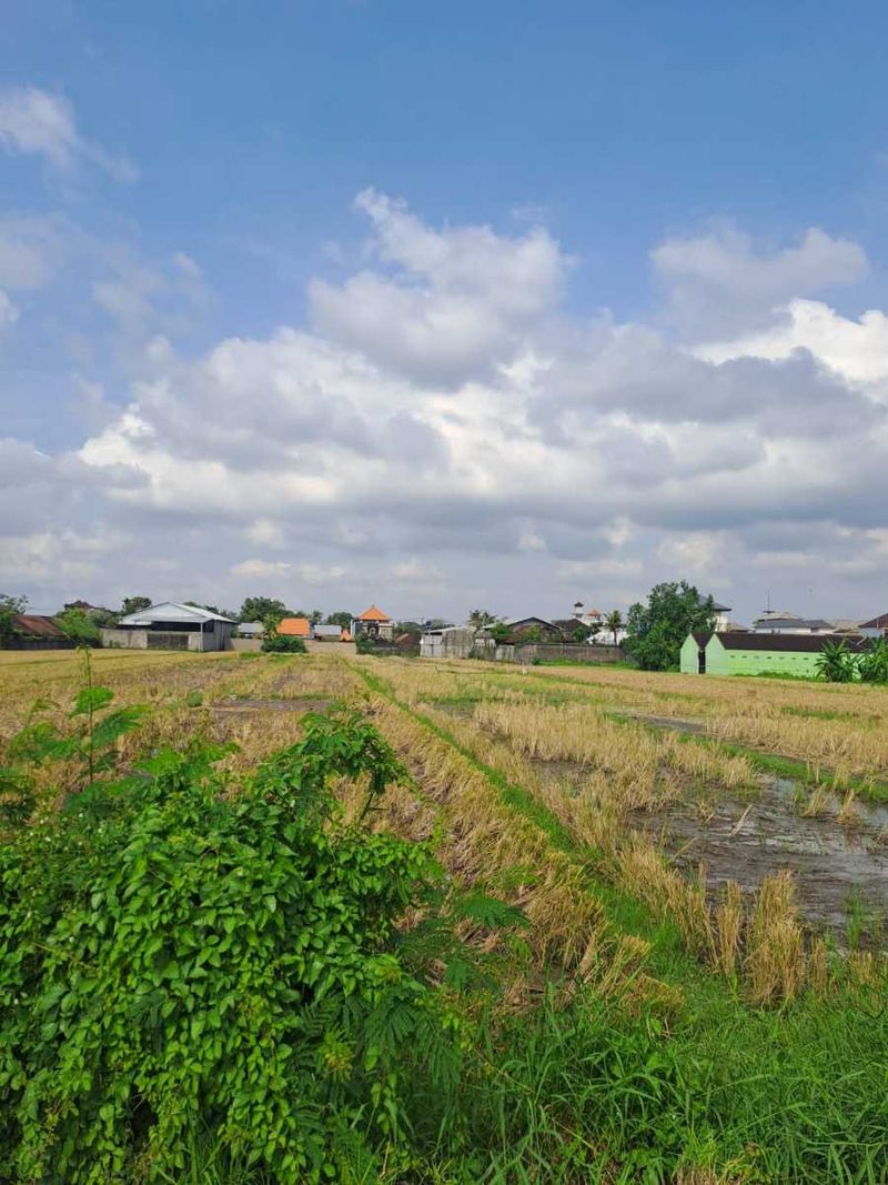 Jual Tanah 98 Are Mengwi Badung - 4