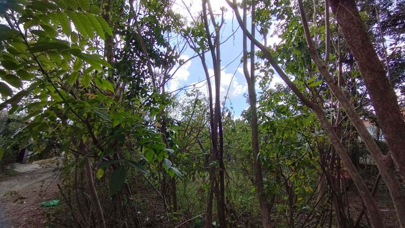 Kontrak Min 10 Tahun Tanah Hadap Utara 8 Are Jalan Jepun Jimbaran - 3