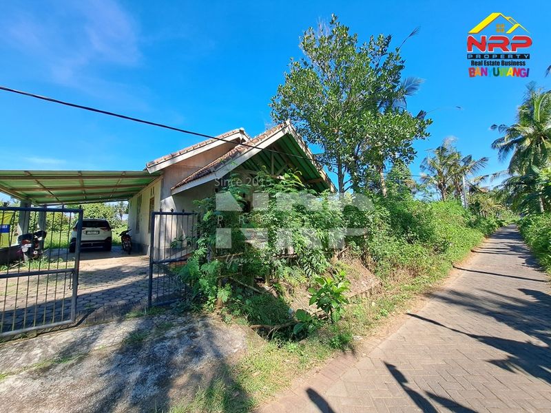 Dijual Tanah kebun  di Kabat banyuwangi, Jawa Timur - 5