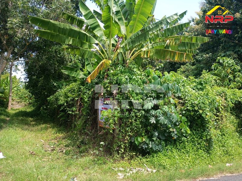 Dijual Tanah dekat samsat  di kabupaten banyuwangi, Jawa Timur - 3