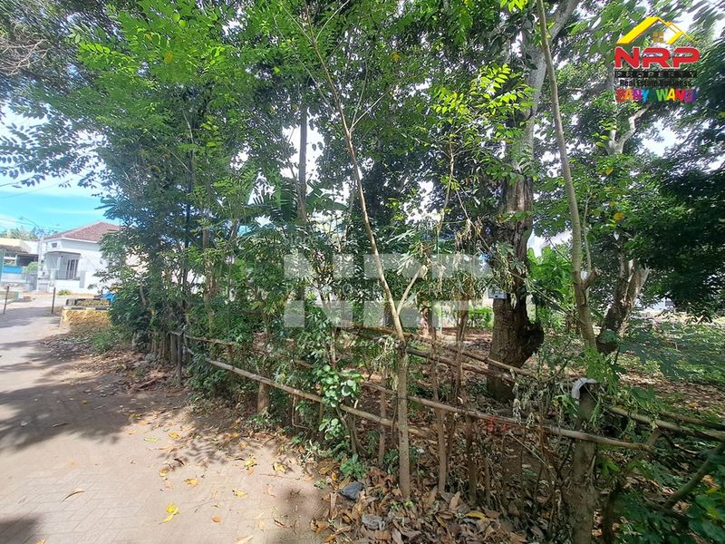 Dijual Tanah Murah di kabupaten banyuwangi kebalenan, Jawa Timur - 3