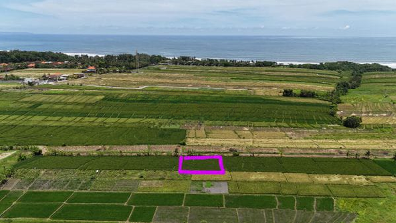 Jual Tanah Hadap Selatan 450m2 Pantai Kelating Tabanan - 3