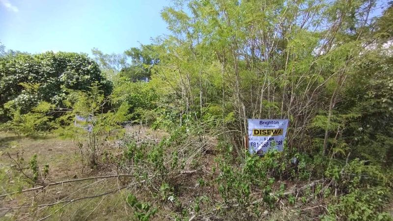 Kontrak Min 10 Tahun Tanah 4 Are di Ungasan: Pilihan Terbaik untuk Investasi Anda - 5