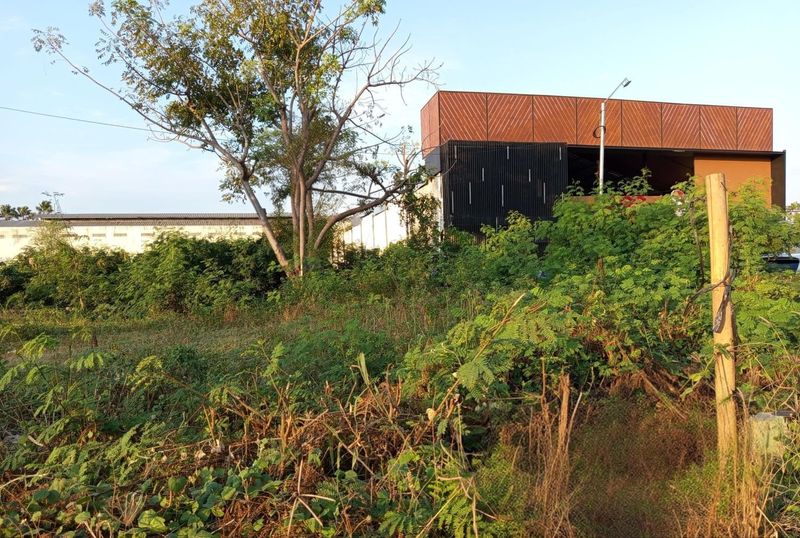 Jual Tanah 18 Are Jalan Raya Marlboro Denpasar Barat - 4