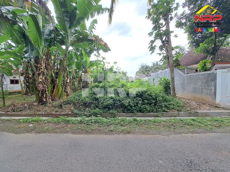 Dijual Tanah Kavling di kabupaten banyuwangi, Jawa Timur dadapan kabat - 3