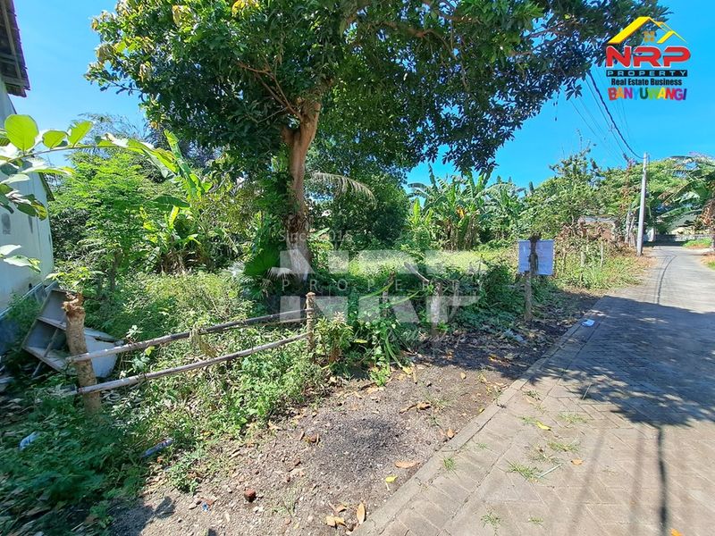 Dijual Tanah Kavling di kebalenan banyuwangi, Jawa Timur - 3