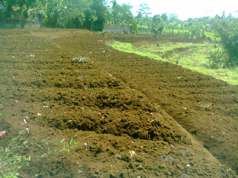 image-0