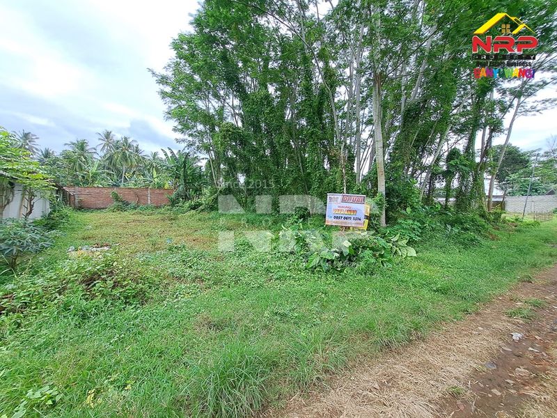 Dijual Tanah Kavling di kabupaten banyuwangi, Jawa Timur kedayunan kabat - 4