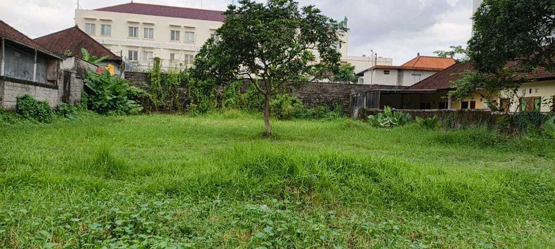 Jual Tanah Hadap Timur 350m2 Dauh Peken Tabanan - 4