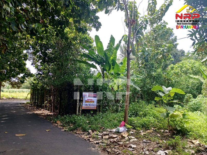 Dijual Tanah dekat samsat  di kabupaten banyuwangi, Jawa Timur - 2