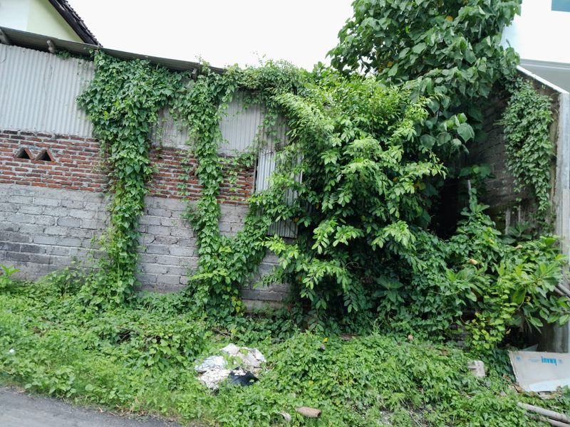 Tanah Dijual di Denpasar Utara, Kota Denpasar