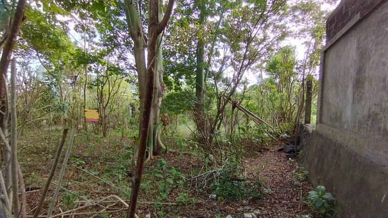 Kontrak Min 10 Tahun Tanah Hadap Utara 8 Are Jalan Jepun Jimbaran - 5