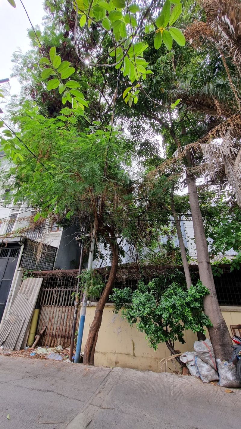 Dijual rumah tua hitung tanah saja di jelambar - 2