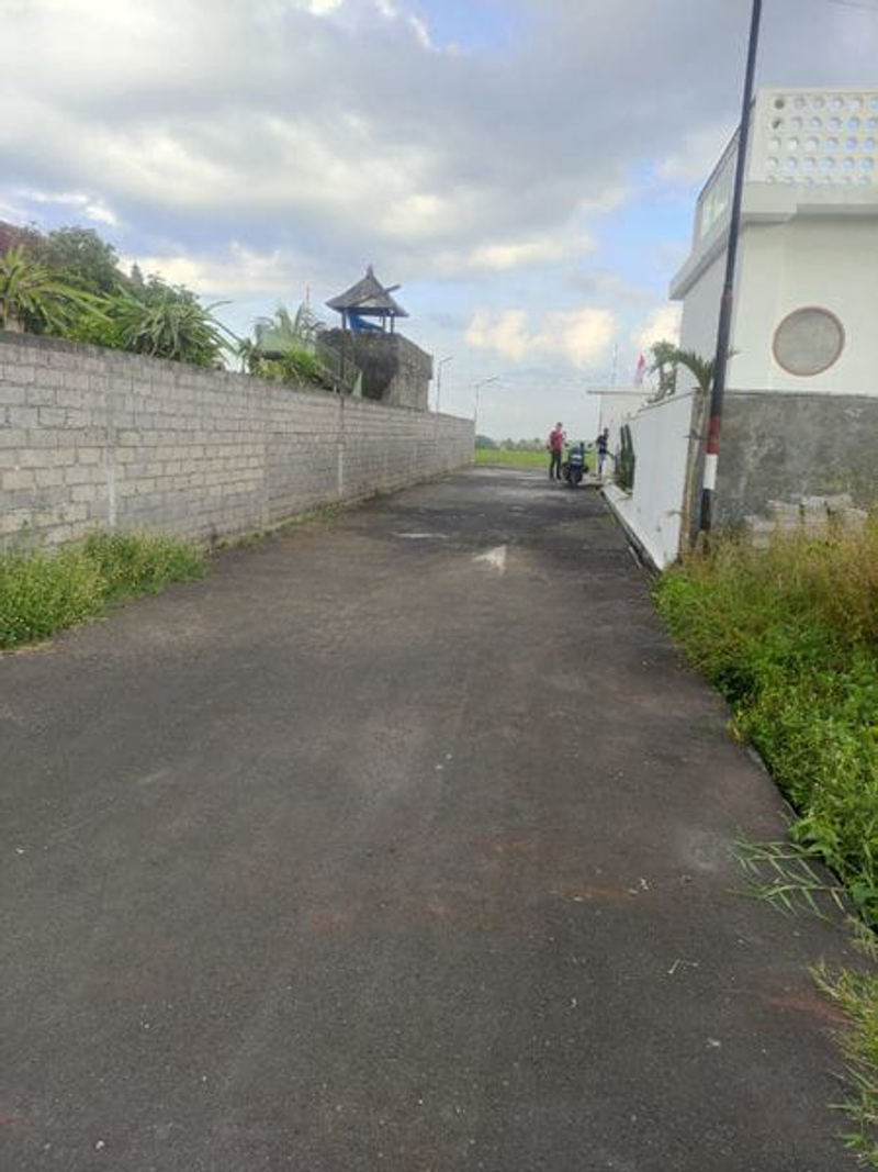 image-0