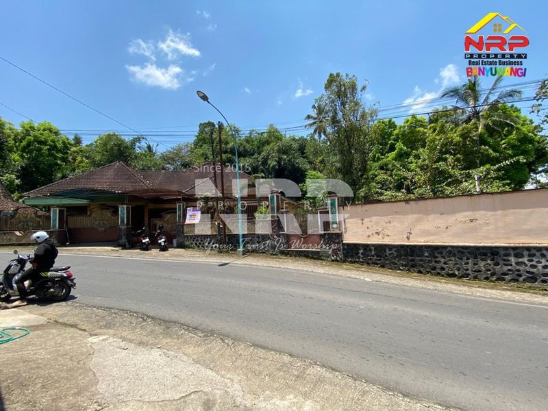 Dijual Rumah Luas View Sungai di Licin - Kawah Ijen Banyuwangi - 5