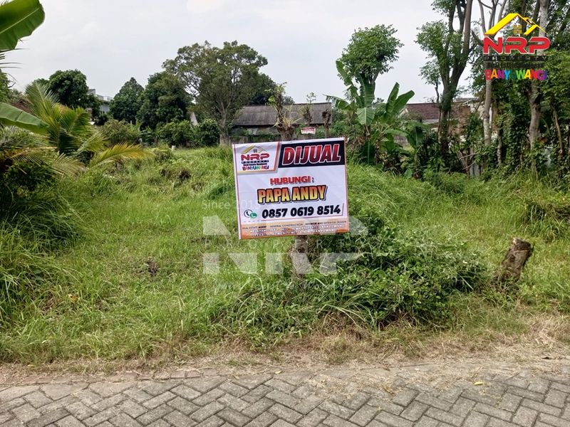 Dijual Tanah Murah di kabupaten banyuwangi, Jawa Timur Bakungan - 3
