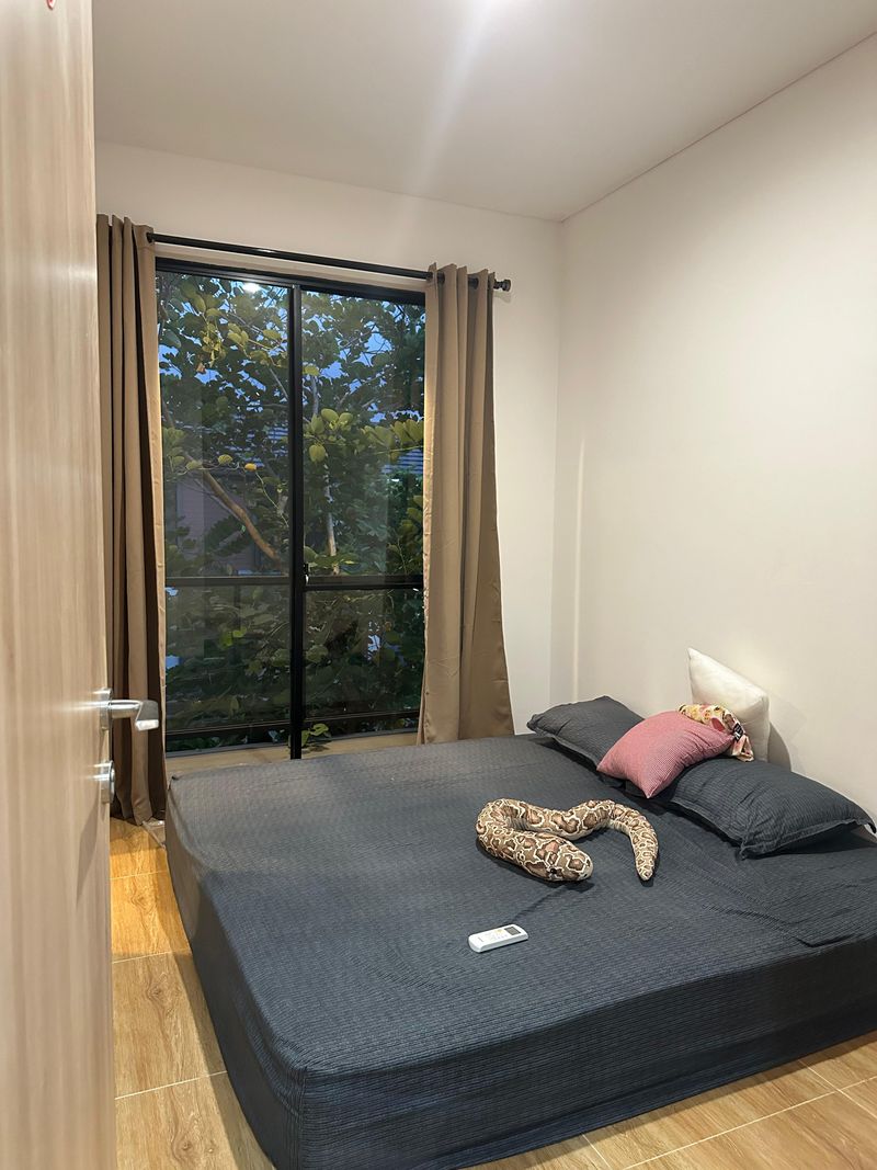 Disewakan Rumah Cendana Peak – Lippo Karawaci, Lokasi Premium & Strategis - 5