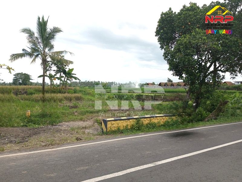 Dijual Tanah sawah murah  di kabupaten banyuwangi, Jawa Timur kabat - 2