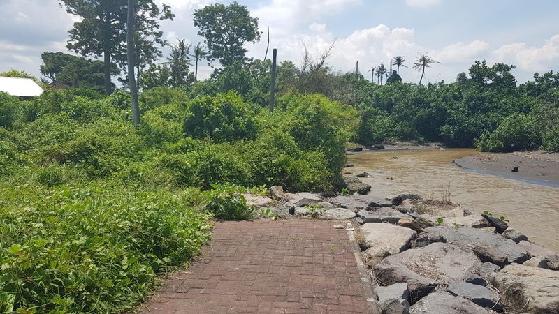 Jual Tanah 36 Are Pantai Tan Sema Ketewel Sukawati Gianyar - 2