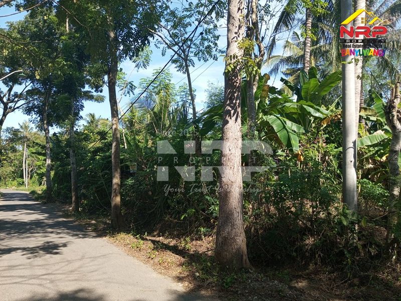 image-0