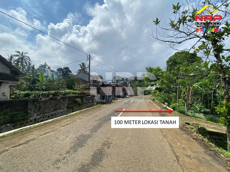 Dijual Tanah Kebun Kopi, Kelapa, Cengkeh Produktif di Licin - Kawah Ijen Banyuwangi  - 2