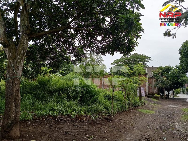 Dijual Tanah Murah di dalam perumahan  di kabupaten banyuwangi, Jawa Timur - 4