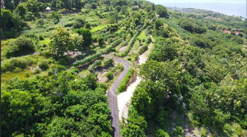 Investasi Tanah 5760m2 Batununggul Nusa Penida Klungkung View Laut - 2